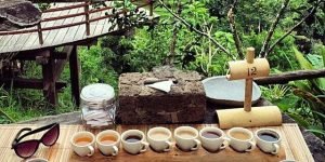 Bali Coffee Plantation
