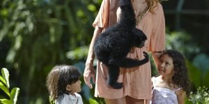 Bali zoo orang utan4