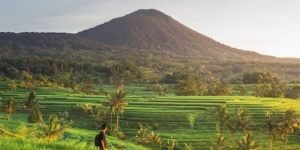 Jatiluwih UNESCO Rice Terrace1