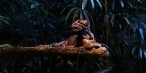 SAFARII