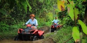 atv ubud 14