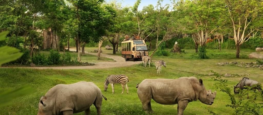 bali safari3