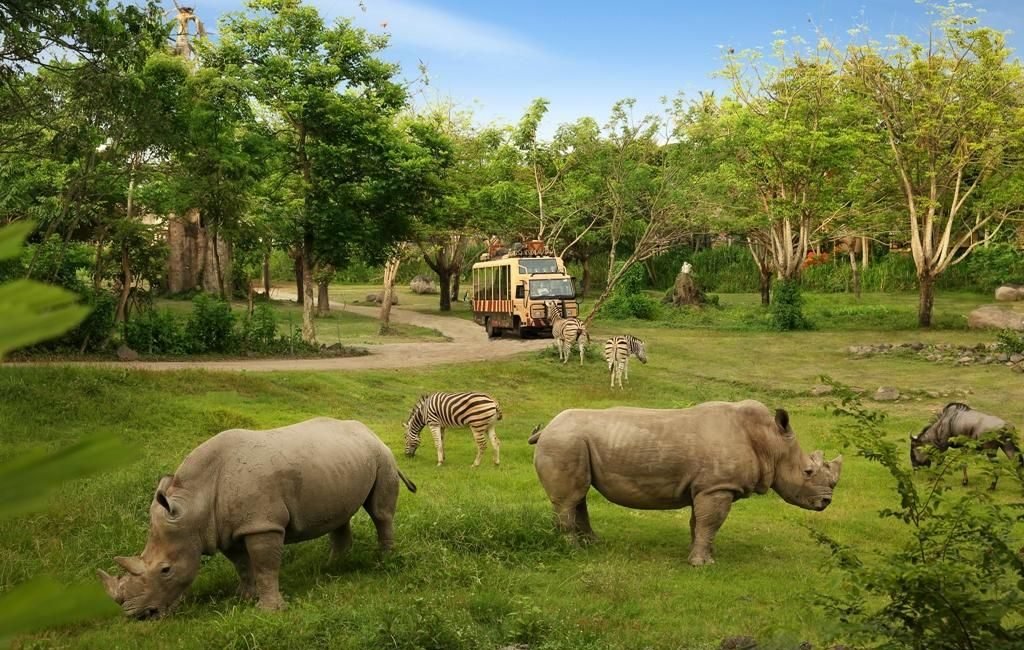 bali safari3