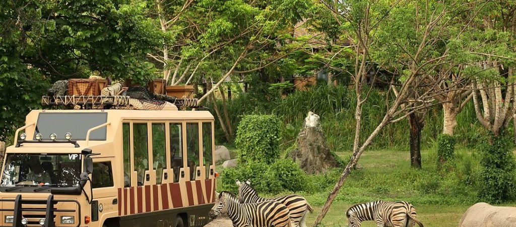 bali zoo1