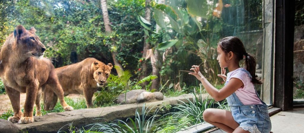 bali zoo2