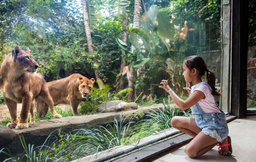 bali zoo2
