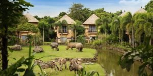 balisafari3