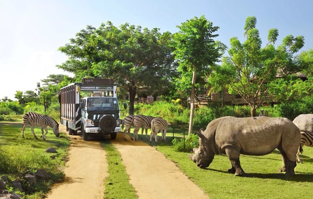 balisafari4