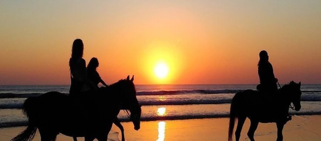 horse riding 3