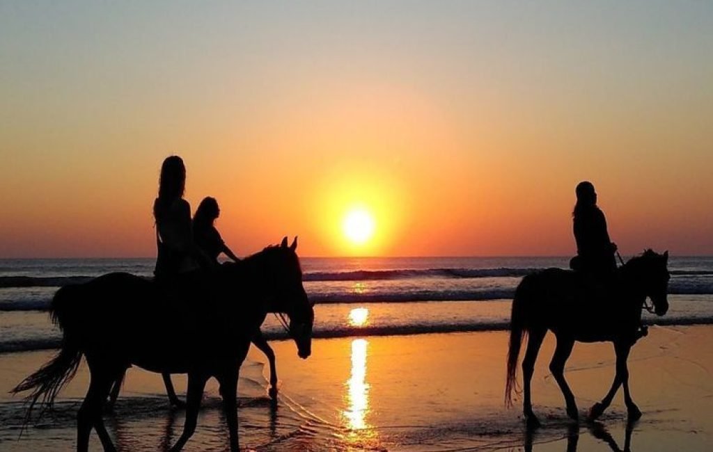 horse riding 3