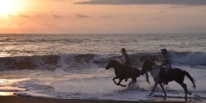 horse riding4