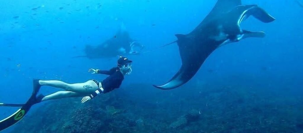 manta point2