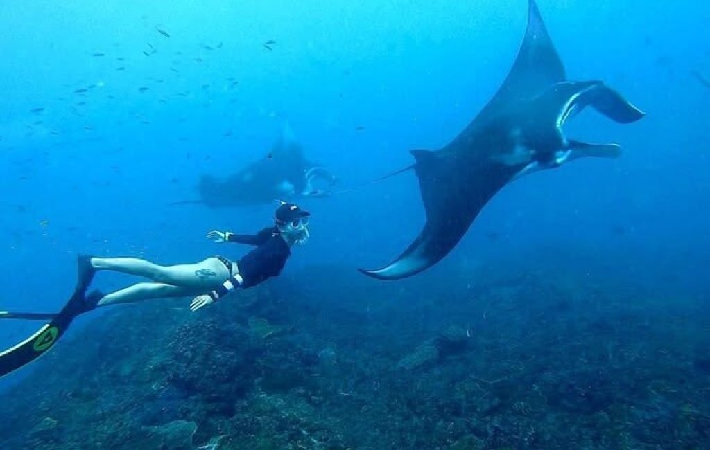 manta point2