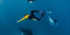 manta point3