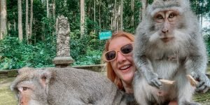 monkey forest2