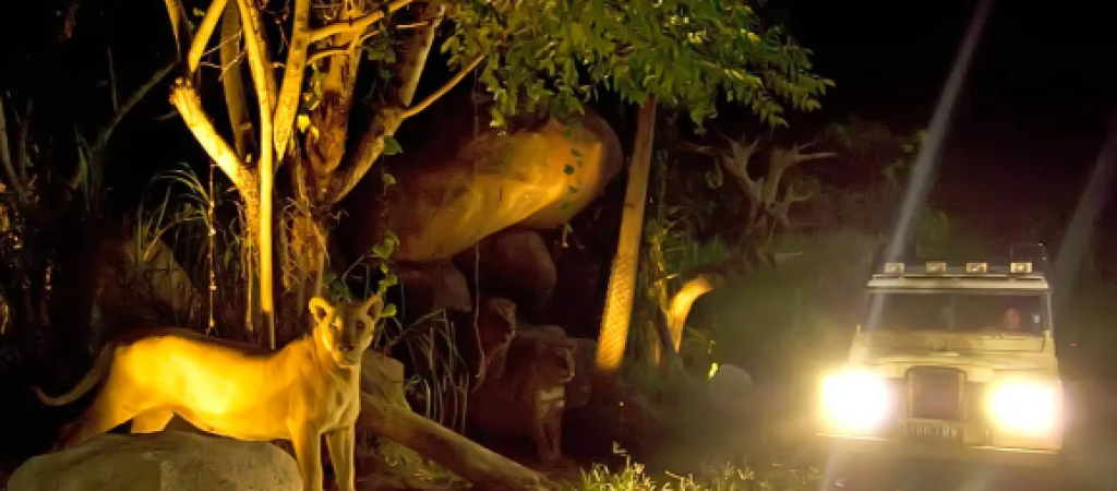 night safari2