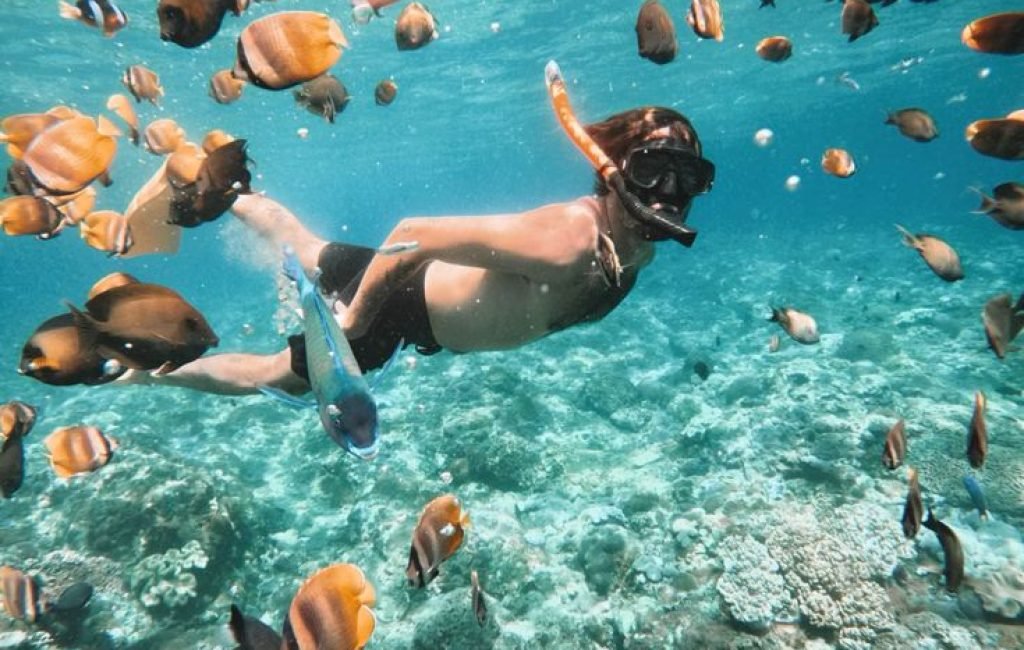 nusa penida snorkeling3