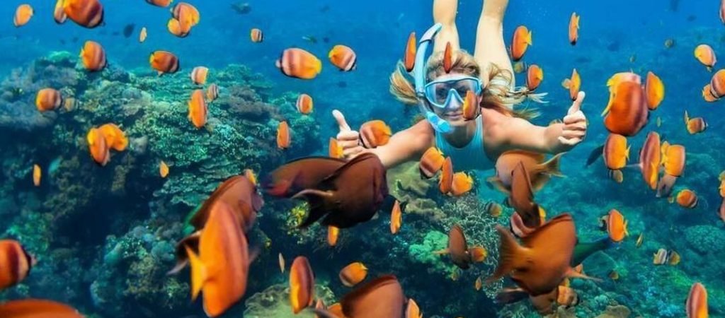 snorkeling1