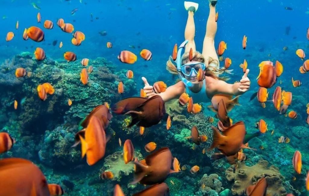 snorkeling1