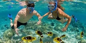 snorkeling2