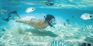 snorkeling5