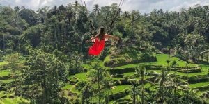 ubud swing 1