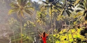 ubud swing 3